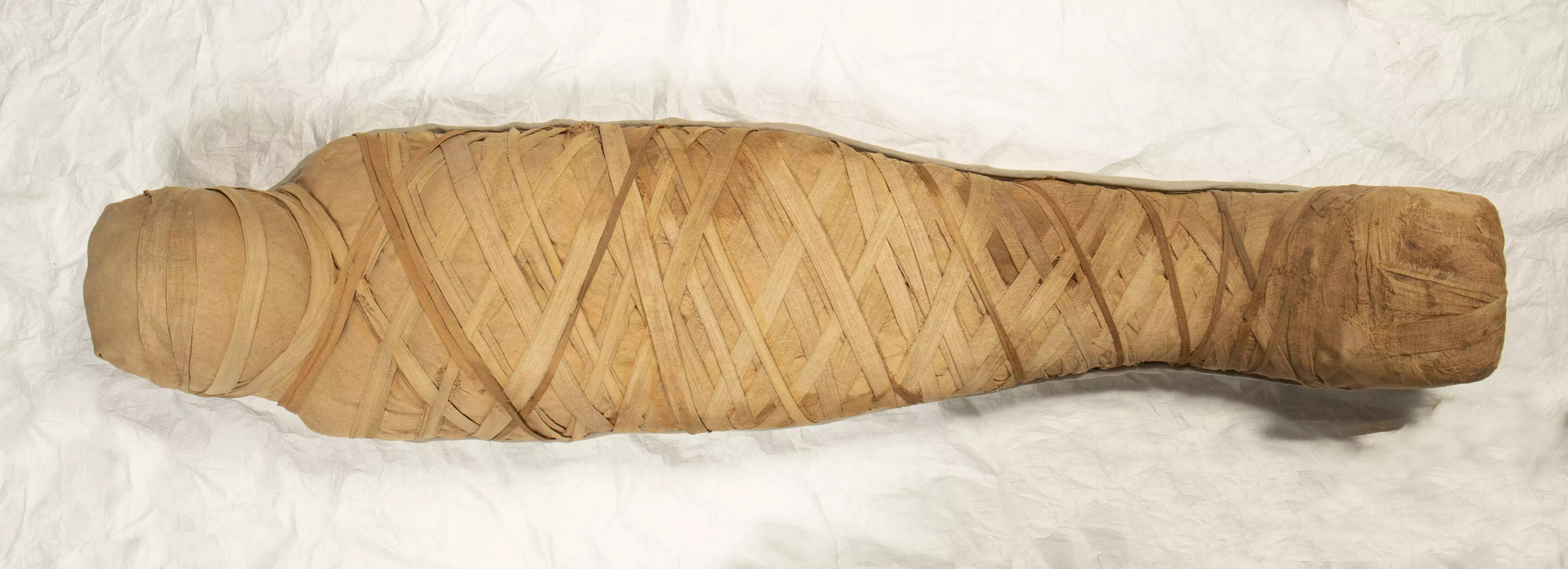  ​  史博館《埃及木乃伊—永生傳說》羅馬時期的女性木乃伊(正面照)©Museo Archeologico Nazionale di Firenz