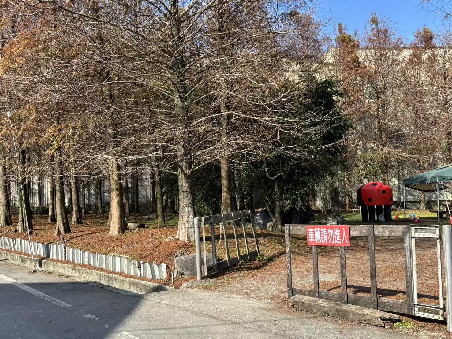 壯圍落羽松位在宜蘭壯圍鄉壯六路、靠近壯六鎮安廟，從台二線濱海公路轉入最容易抵達，Google 導航可直接定位。