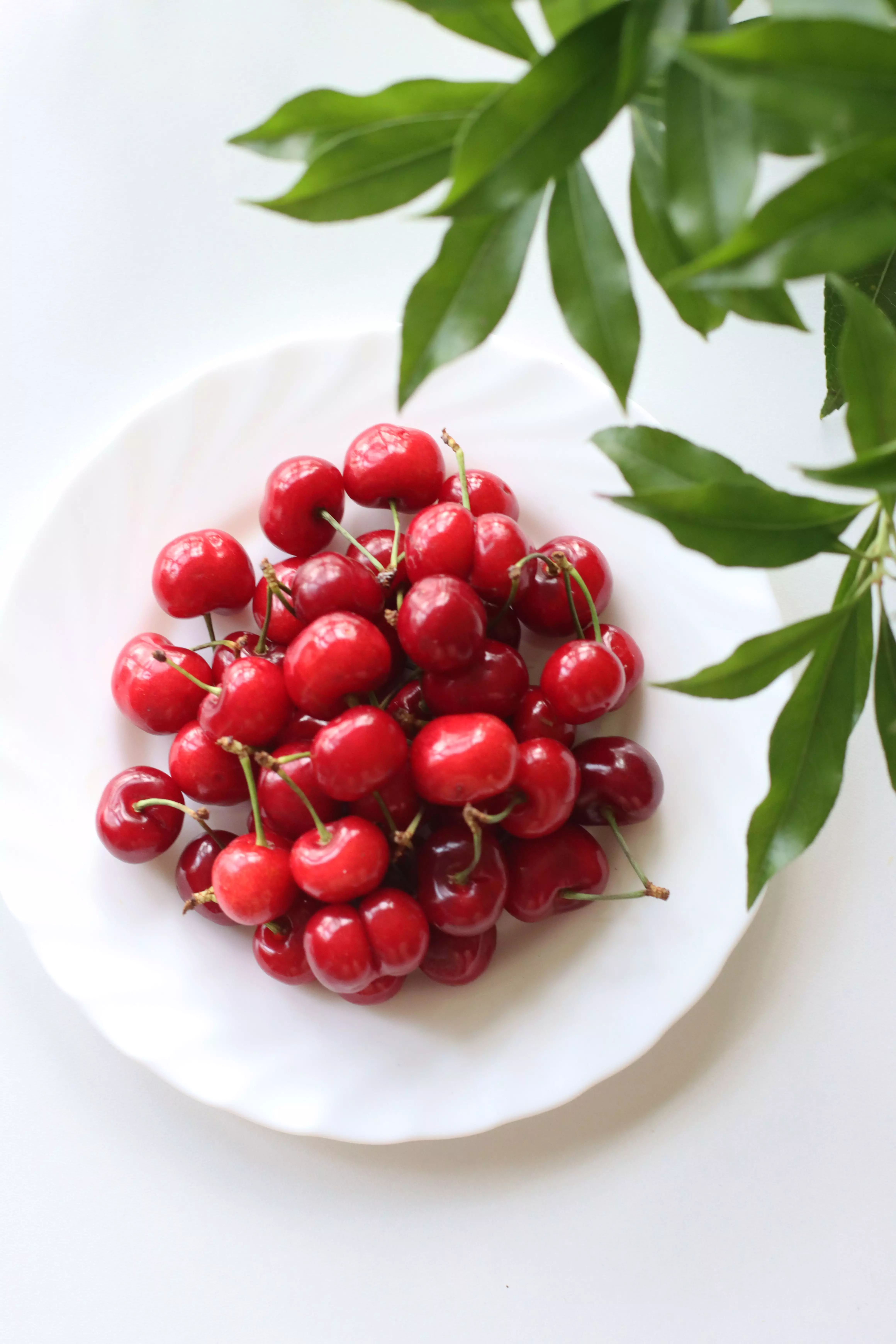 紅色食物推薦5:櫻桃(補氣養血,適合冷氣房畏寒體質)