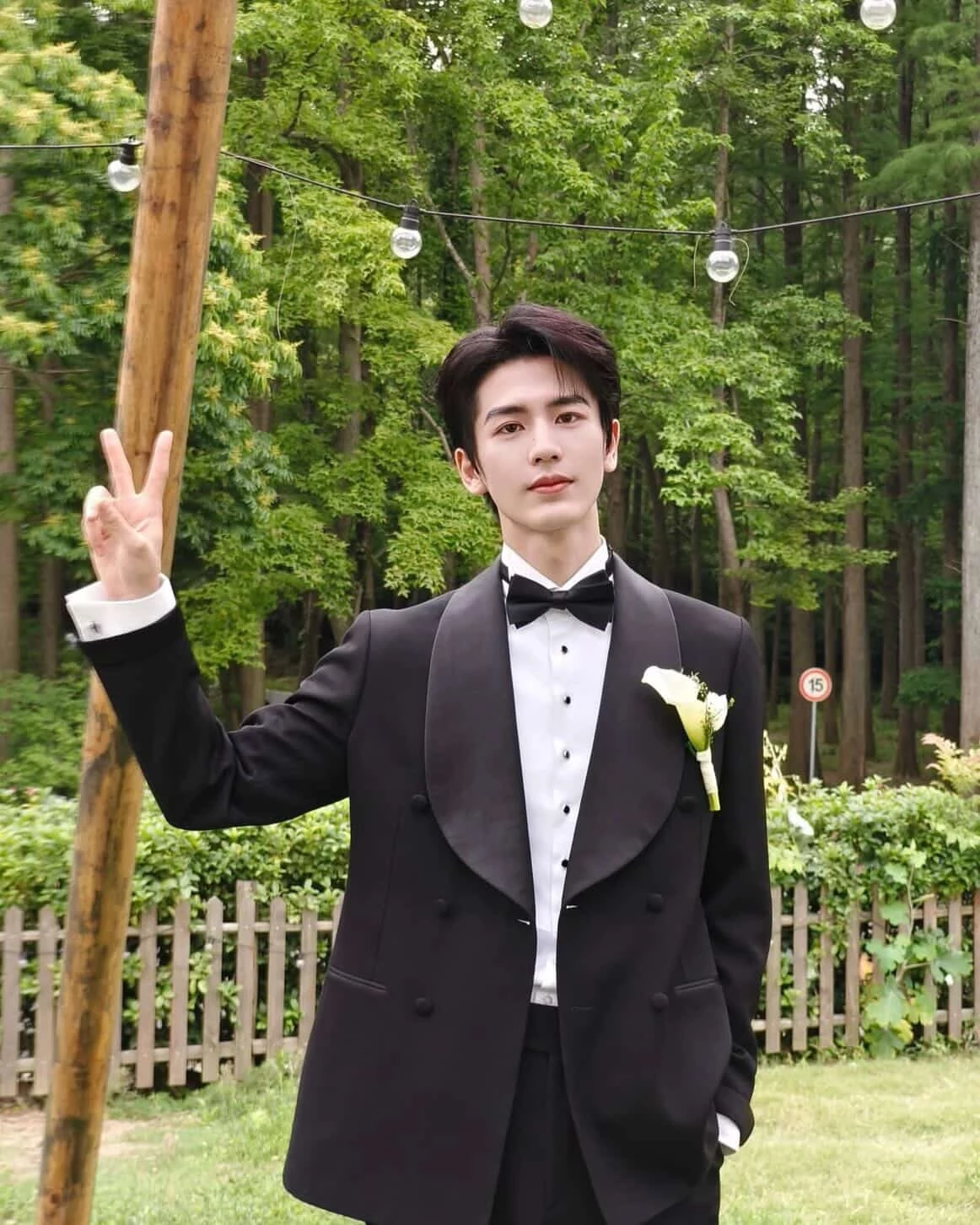 在人氣提升後，張凌赫開始接演更複雜的角色，讓不少觀眾認為他的表演一部比一部更加成熟，也更有層次，成為中國新生代演員中的「信看演」代表之一。