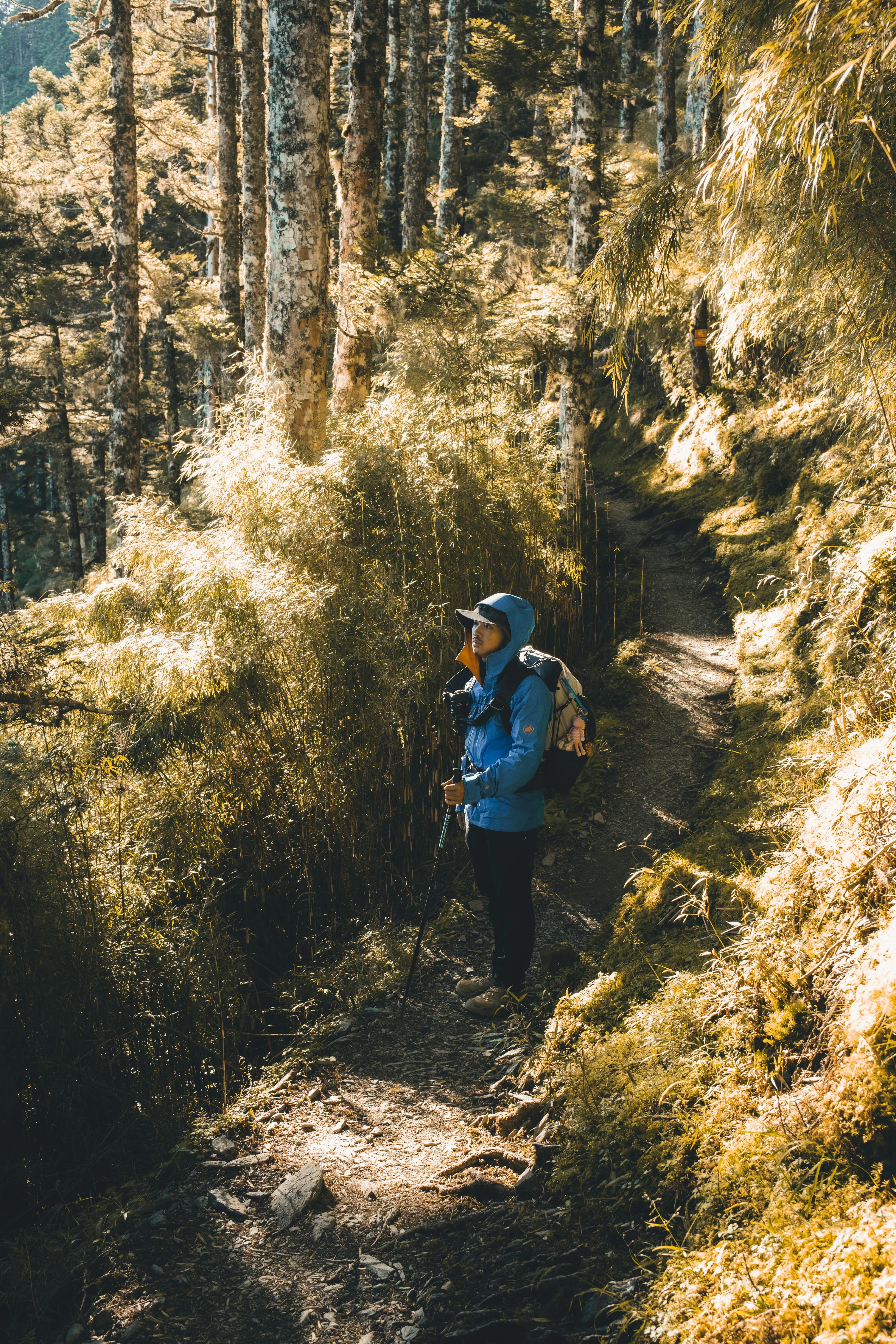 中醫建議提神醒腦觀念1:多曬太陽、接觸大自然