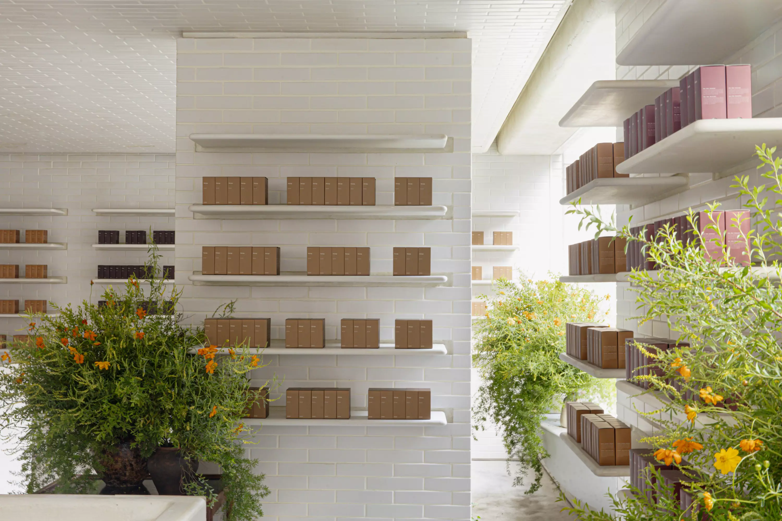 建構一間夏季期間限定的 Aesop 街角花店