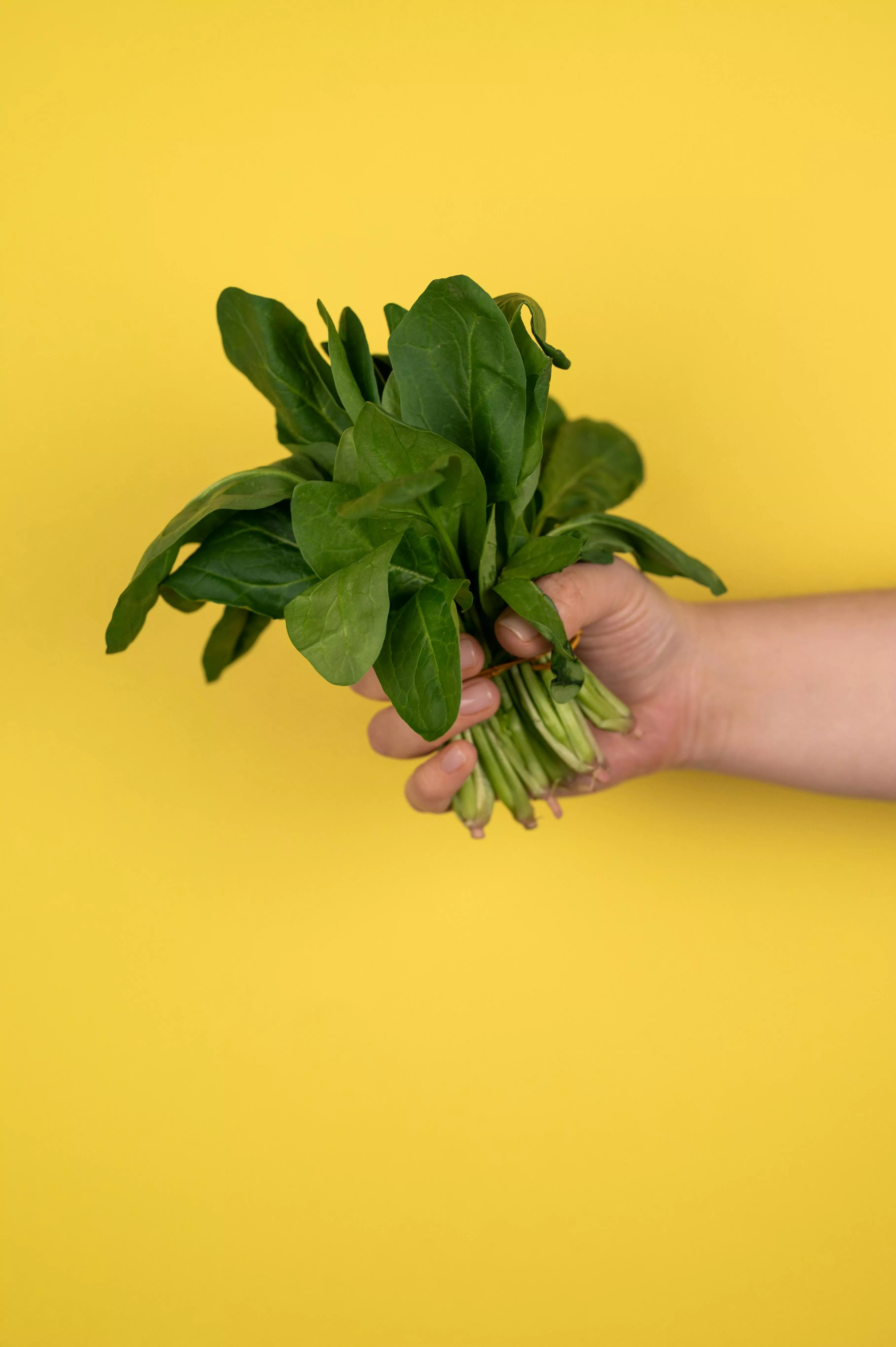「菠菜」奪冠，農藥殘留比例最高