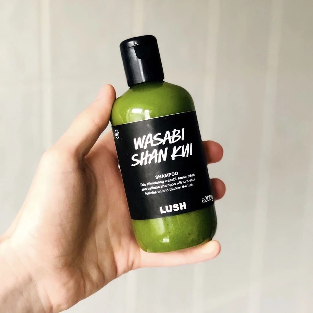 LUSH 於 2023 年投入 230 萬英鎊，將 Green Hub 遷移並擴大至 40,000 平方英尺的新空間