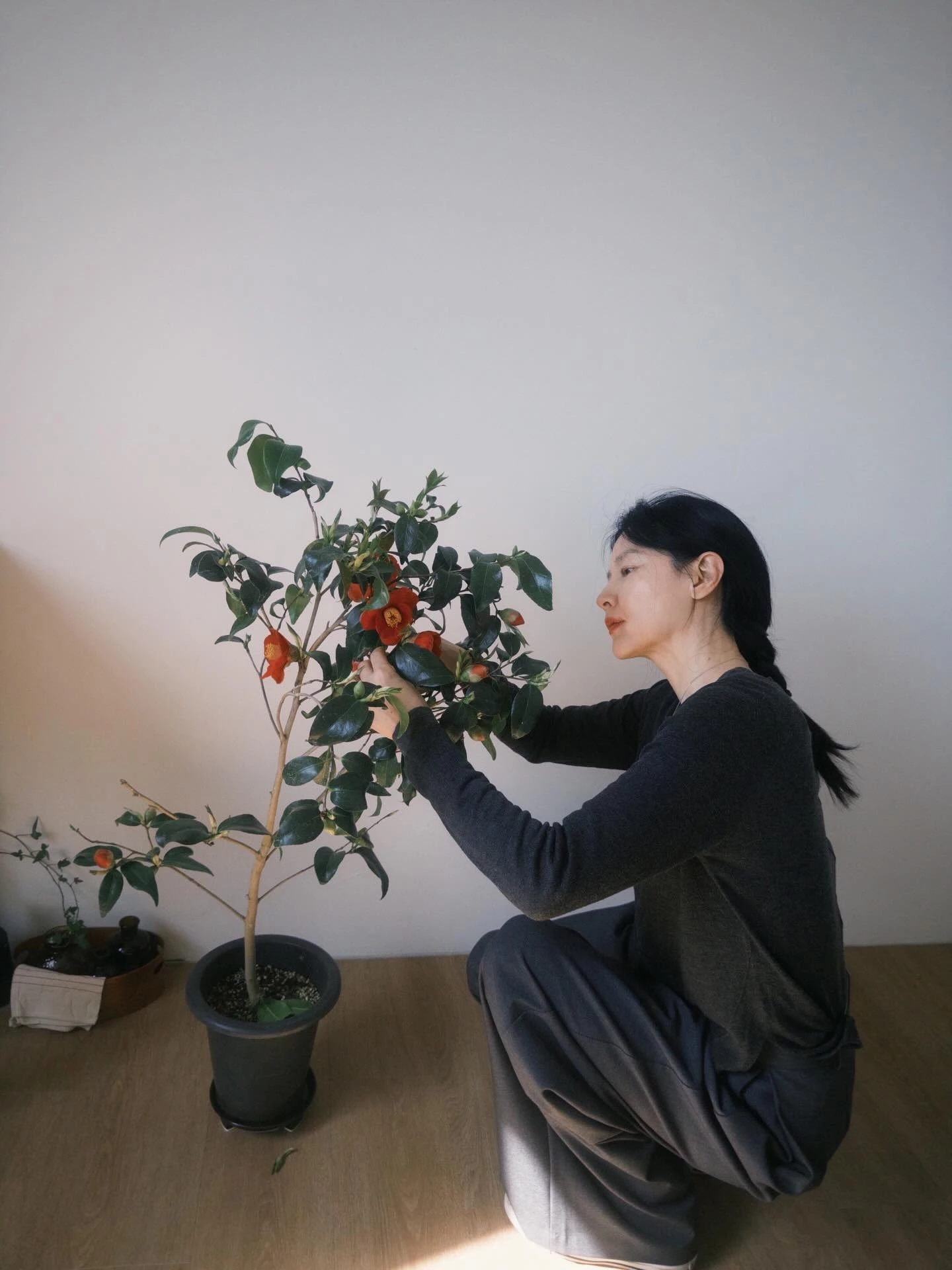 李英愛以深灰長袖搭配深灰寬褲，在家蹲著整理山茶花盆栽