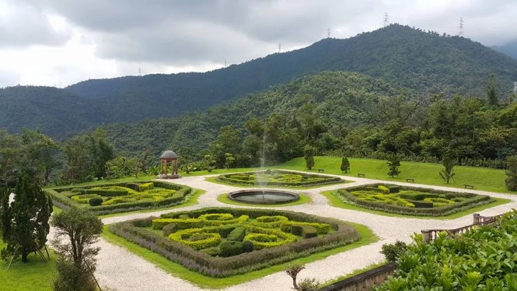 園區內設有多種展示區，像是東方庭園、西方庭園以及大航海外來植物展示區等，不同區塊以步道串連，可感受到多元植物的樣貌。仁山植物園在中高地勢的環境下，有成熟的森林、寬闊山坡和開闊視野，四季各有特色。
