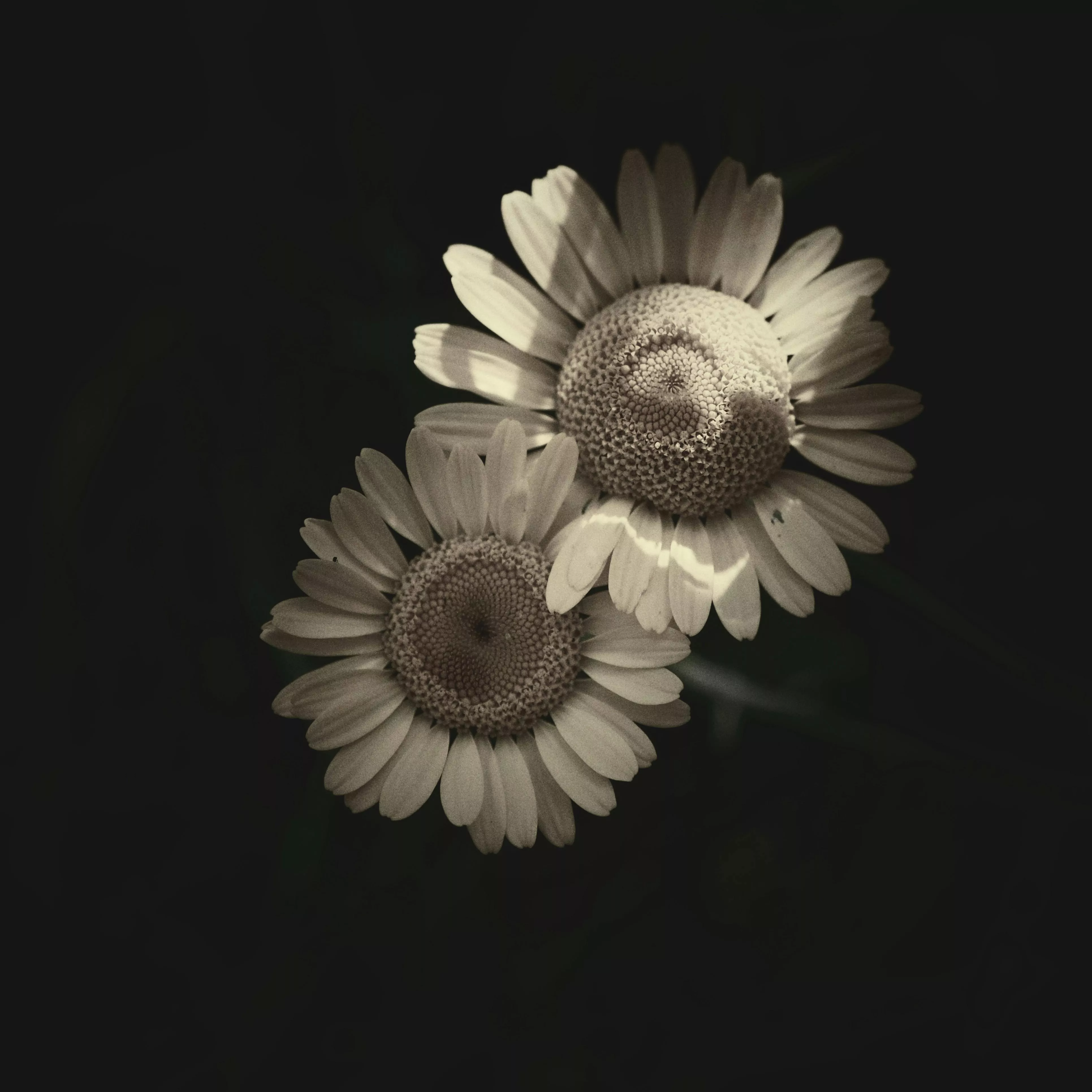 神經科學研究指出，大腦對新鮮刺激特別敏感。當生活長期處於高度重複的節奏，容易讓人感到倦怠與停滯。改變不必一定是搬家或轉職，很多時候只需要加入新的元素。例如學習一項技能、改變通勤路線、嘗試不同運動或安排短途旅行。這些看似微小的變化，都能為大腦帶來新的刺激。新的經驗會打破慣性思考，也可能讓人重新認識自己的興趣。許多研究指出，持續學習與嘗試新事物的人，通常擁有較高的生活滿意度與心理活力。