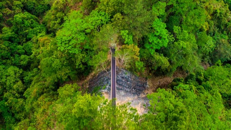 大坑風景區 4 號登山步道歷經風災受損後，近日已復建完工。開放通行後迅速爆紅，成為打卡新地標，吸引不少山友關注與熱烈討論，為登山體驗增添新樂趣。大坑 4 號步道屬健腳級路線，沿線視野遼闊，可眺望頭嵙山青翠連綿的山巒，也是大坑 14 條步道中難度最高的一條，經常吸引喜愛挑戰的登山遊客前來攀登。