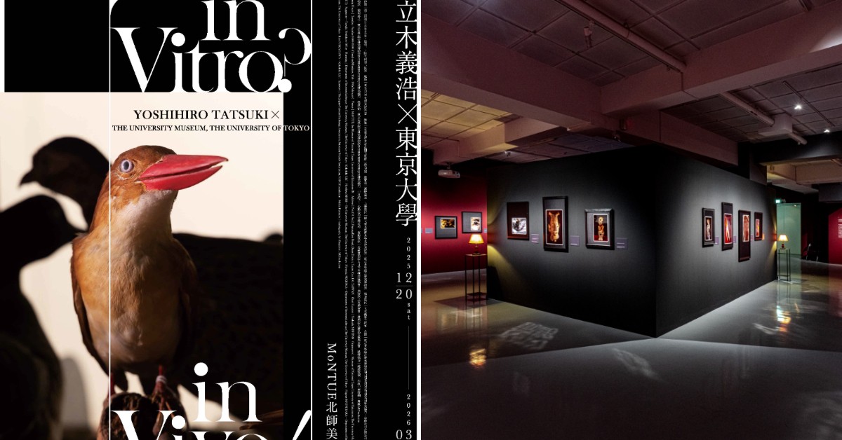年底必看！北師美術館兩大攝影展：從傳奇雜誌《人間》到日本攝影師立木義浩