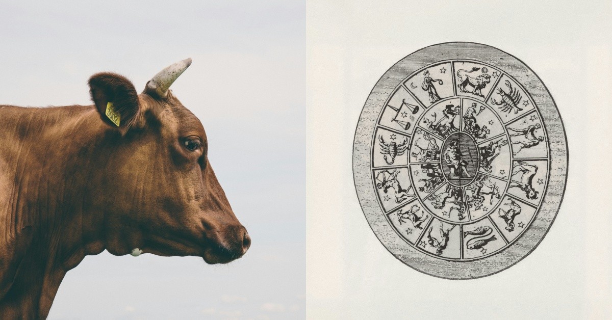 金牛座招桃花寶石推薦它！戴「這隻手」增加好人緣還能助升遷