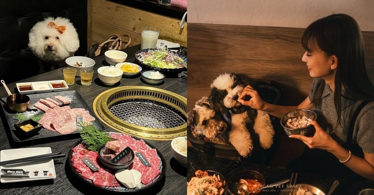 全台寵物友善燒烤推薦！盤點7間燒烤店，從日式炭火、韓式老字號到和牛鍋物，讓你與毛孩輕鬆共度用餐時光