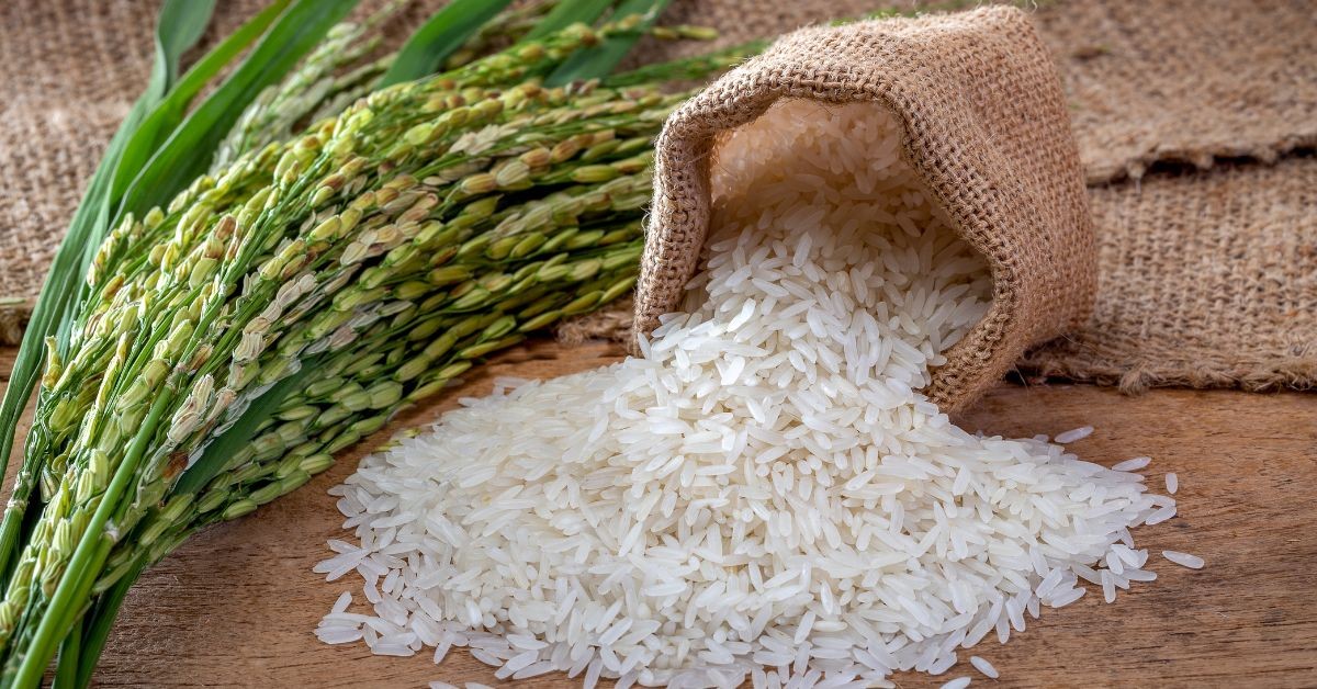 你的米飯是不是「隱形毒藥」？專家教你2步驟煮出健康飯，遠離癌症風險！
