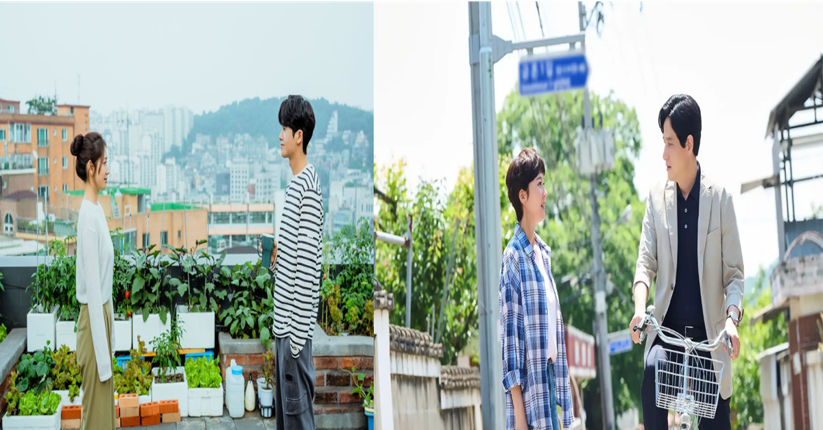 治癒系韓劇推薦 8 部！《低谷醫生》《公益律師》以溫柔撫慰疲憊日常
