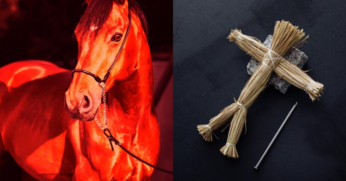 2026年首個「天赦日」！巧遇「驚蟄」節氣開運、求財全攻略