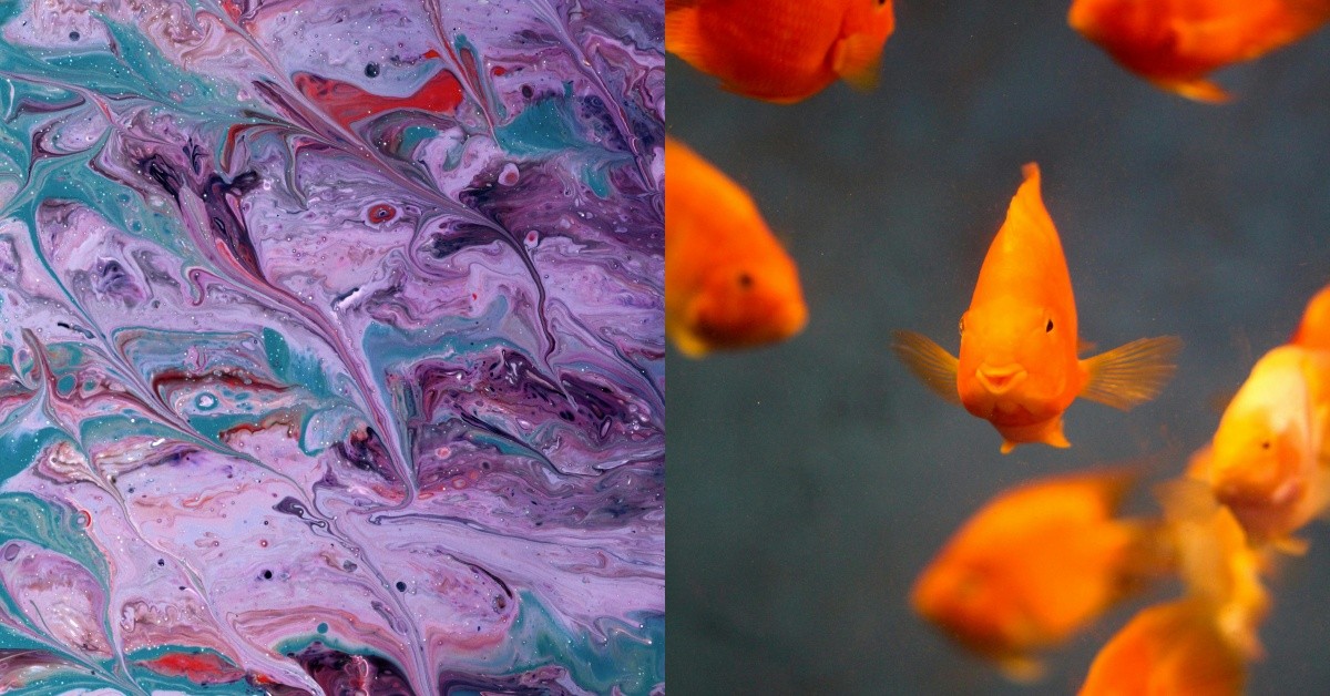 雙魚座招桃花寶石就選它！「這樣戴」吸引正緣、防止戀愛腦