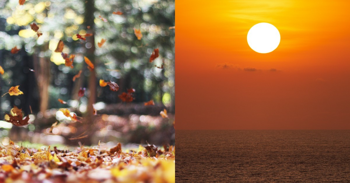 2025年「秋分」8注意事項！4生肖健康亮紅燈，秋雨徵兆揭天氣變化