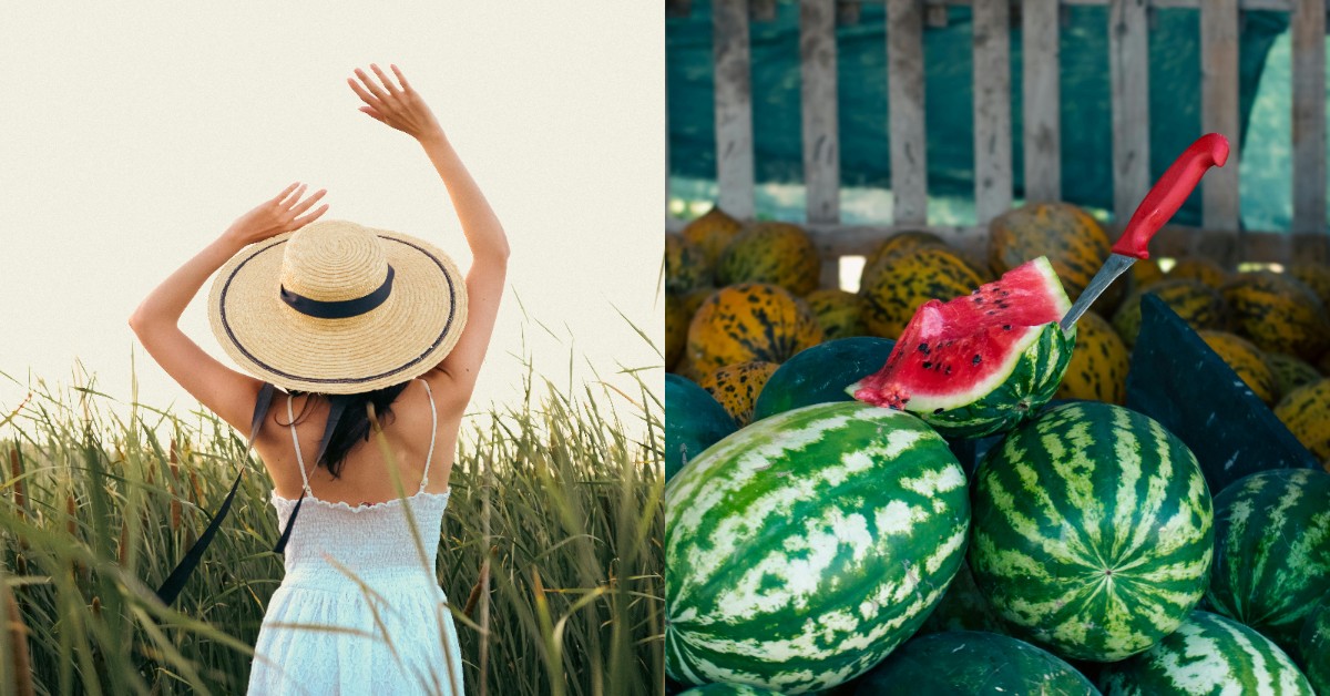西瓜、鳳梨可以防中暑！中醫推薦夏季水果養生指南，功效＋穴位保健全解析