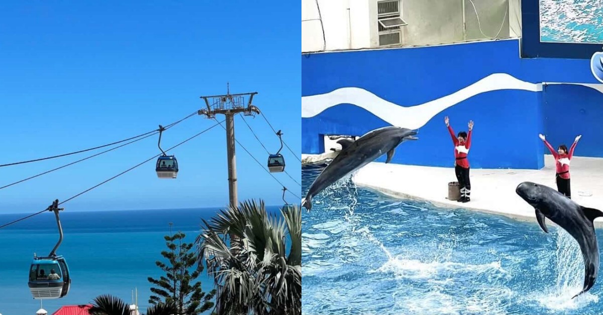 花蓮遠雄海洋公園爆紅「海豚秀」已走入歷史！未來轉型策略一次看