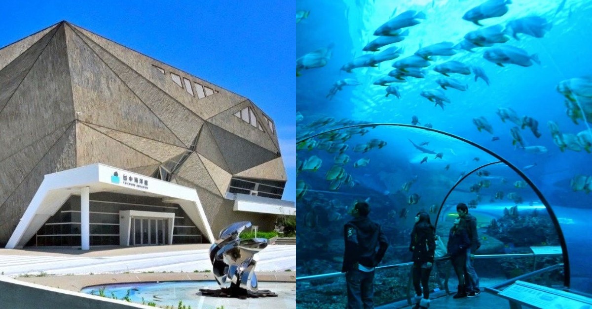 台中海洋館未開先轟動！全台7大海洋館園區特色、票價懶人包一次看