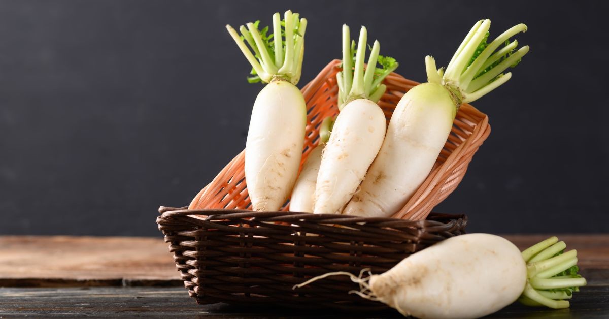 日本爆紅「白蘿蔔果昔」：不運動也能瘦？專家實測4個月減6公斤！揭秘燃脂核心「是這個」