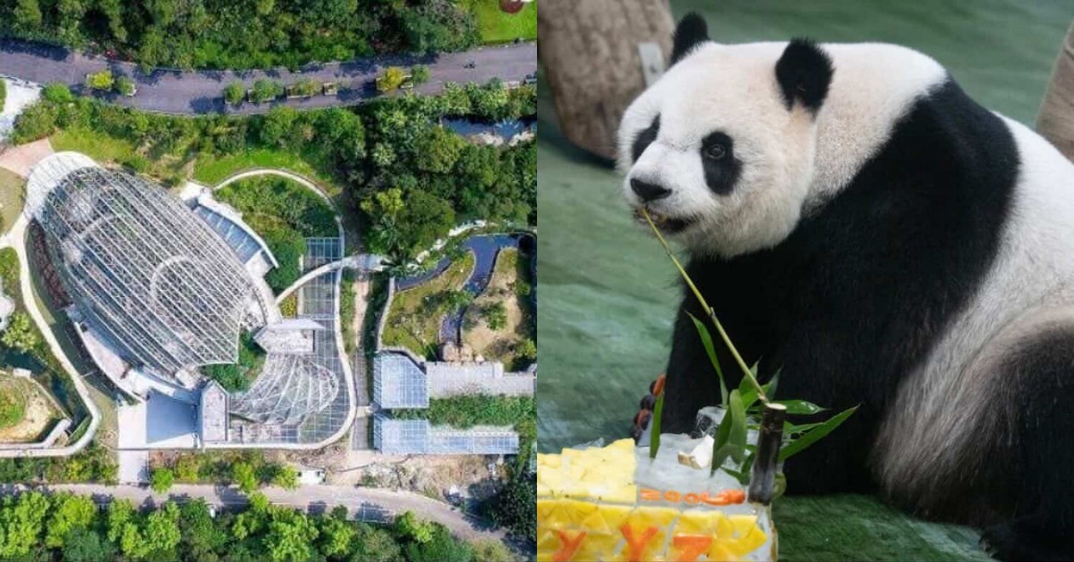 Threads熱議「木柵動物園」變無聊了？一篇看懂動物園的宗旨與轉型