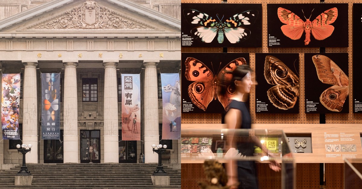 臺博館最新展必看！「島嶼飛行」揭秘台灣蝶蛾，300件標本首次曝光！