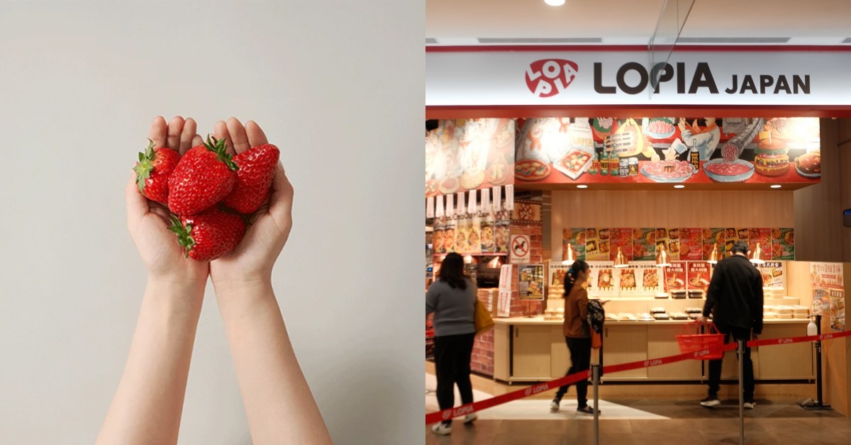 日本最頂級草莓台灣也能吃到！奈良「古都華」Lopia預計本週開賣，最甜草莓紅什麼？