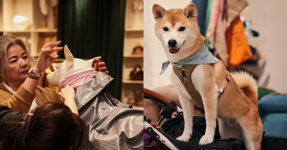 讓牠們過得更被理解！Jamei Chen首發「寵物服」、安芙利聯手Oggi打造毛孩生活美學