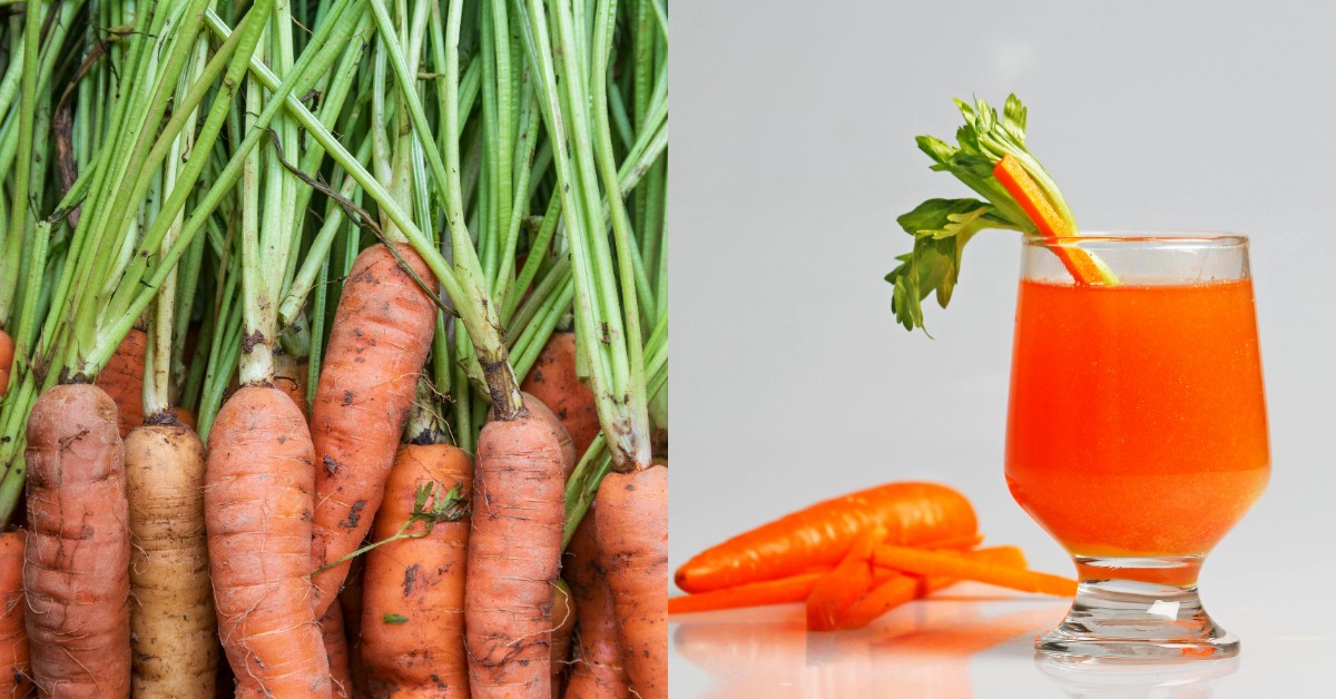 紅蘿蔔是平價人參！中醫教你紅蘿蔔養生飲食6觀念，生食營養價值減半、煮熟吃吸收更好