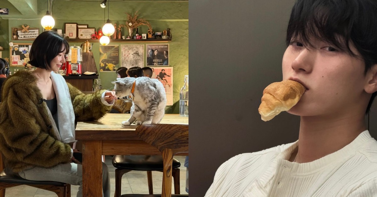 金唱片韓星吃什麼總整理：Stray Kids、ATEEZ鍋物愛好者，CORTIS造訪「這家」老字號成排隊名店