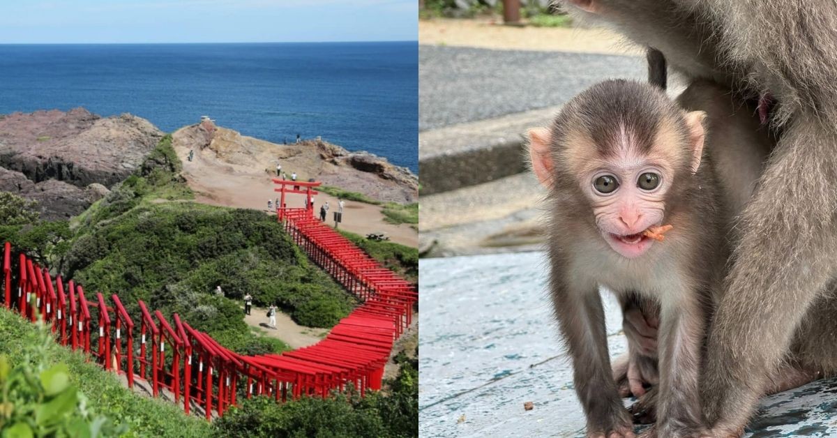 日本旅遊新秘境！虎航直飛「大分」6大景點攻略，別府地獄、金鱗湖必訪