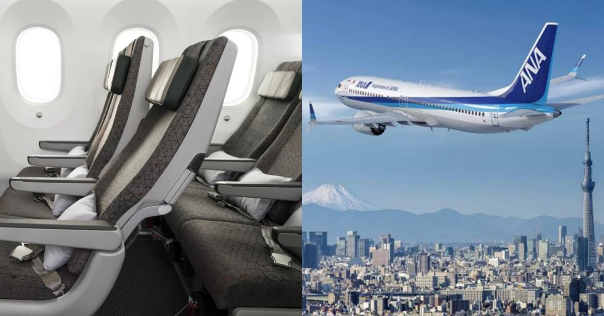 哪家航空經濟艙位子最大？6家評比：日航腿部空間最多、台灣「這家」座椅最舒服