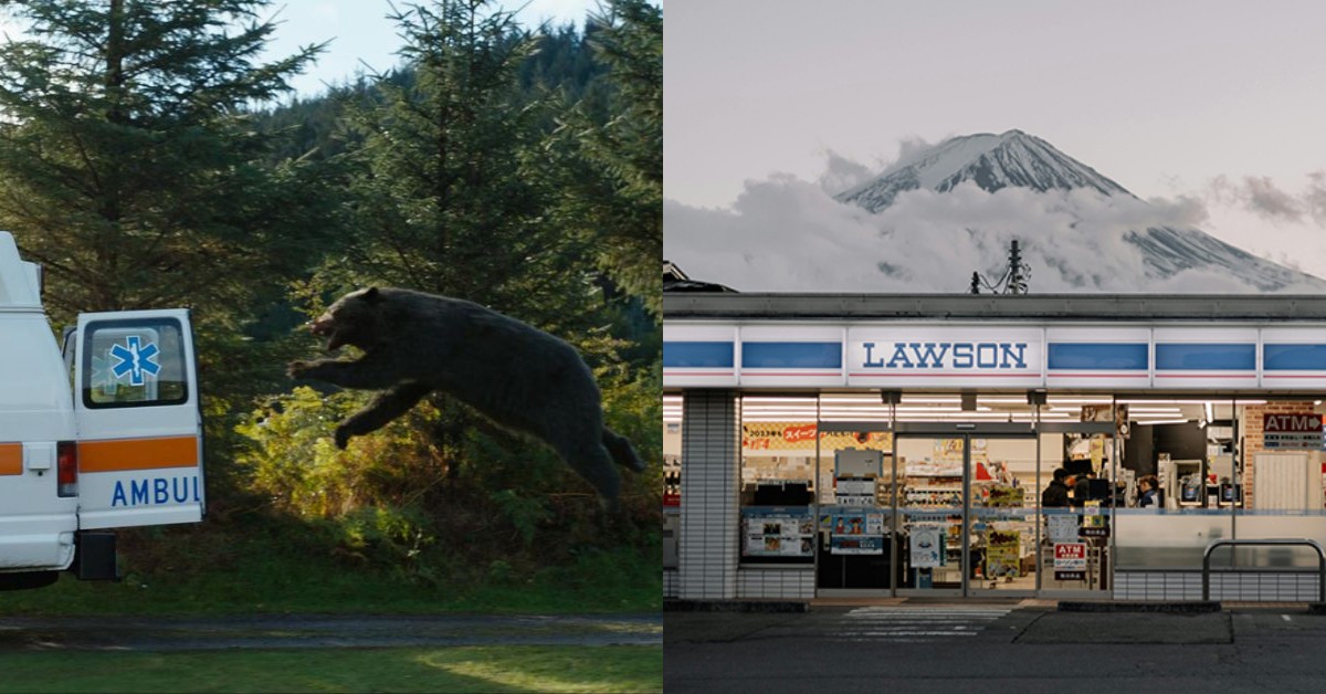 日本「熊害」事件破紀錄！三大連鎖超商出招，專家分享遊日防熊5訣竅