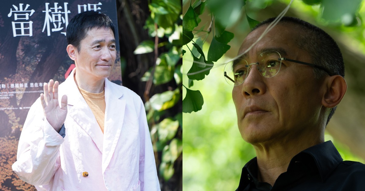 《你是不會當樹嗎》梁朝偉來台！首演歐洲電影6件事：坦然面對全裸、自比「夜來香」