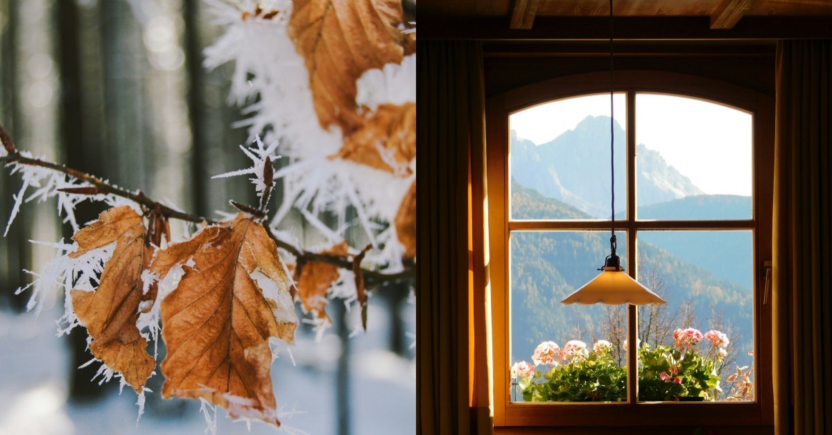 2025年「霜降」8注意事項：4生肖運勢下降，進補最佳時機來了