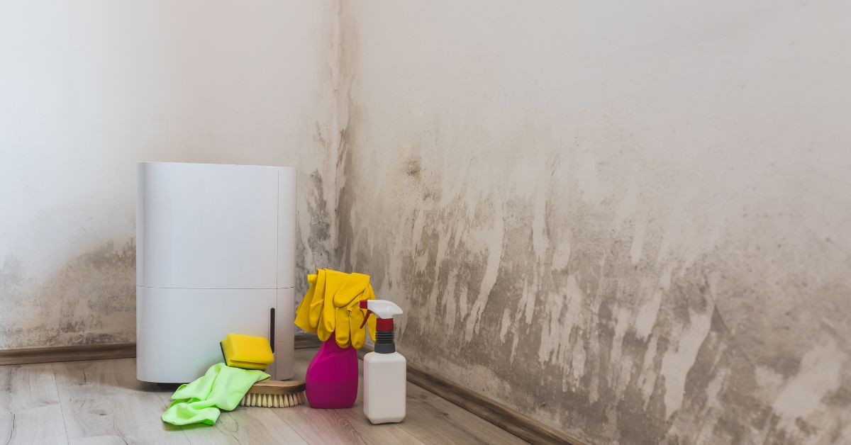 家中「最容易發霉」的7大角落！浴室、衣櫥、冰箱膠條，專家教你徹底根除黴菌