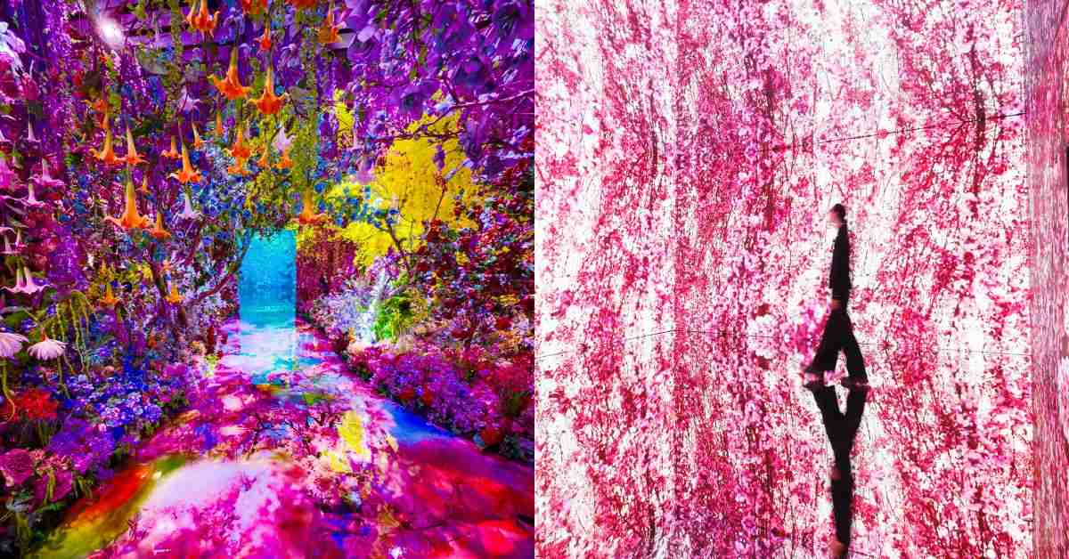 2026必看展覽！蜷川實花最大規模《彼岸之光》：票價、地點一次看