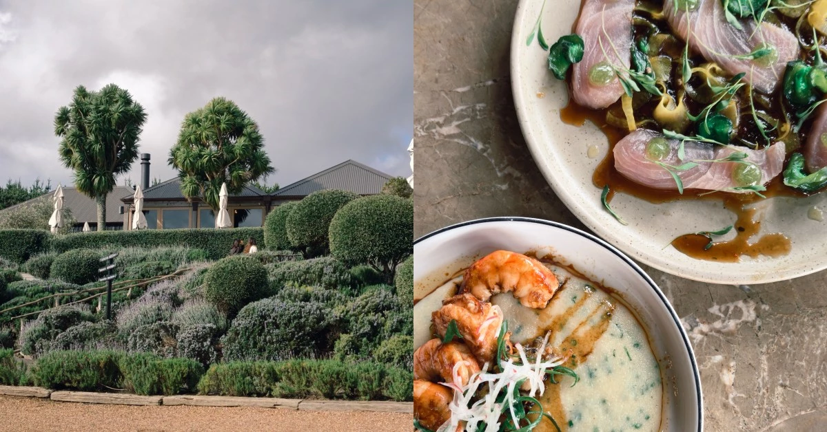 紐西蘭北島旅遊推薦：《米其林》首度插旗8家必吃美食！葡萄酒莊園在地人假日最愛去｜Bella出國去
