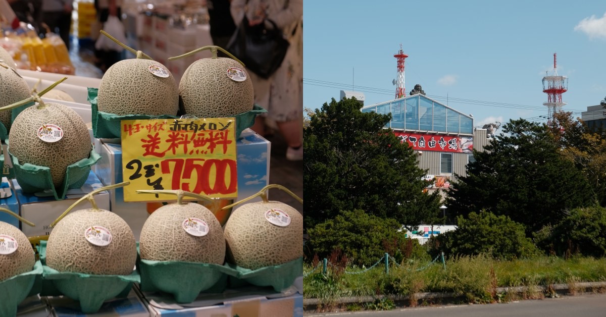 回國入境新規定11月啟用！「取消免疫通道」這幾樣東西不可帶