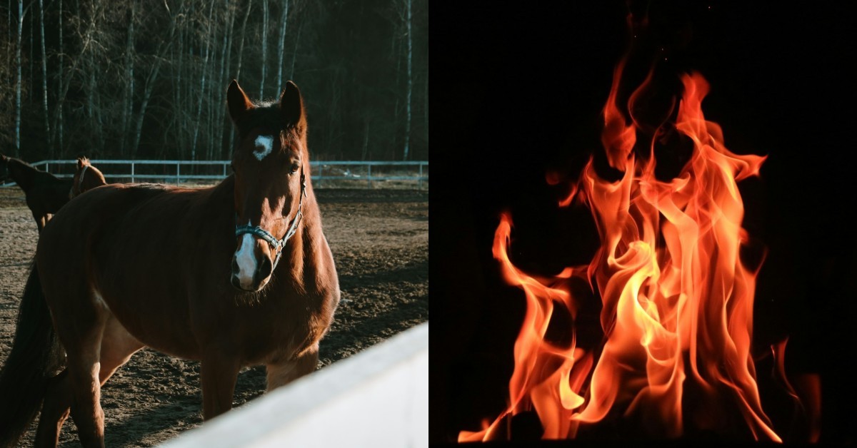 2026赤馬紅羊劫要來了？犯太歲、局勢變動⋯7大注意事項一次看懂