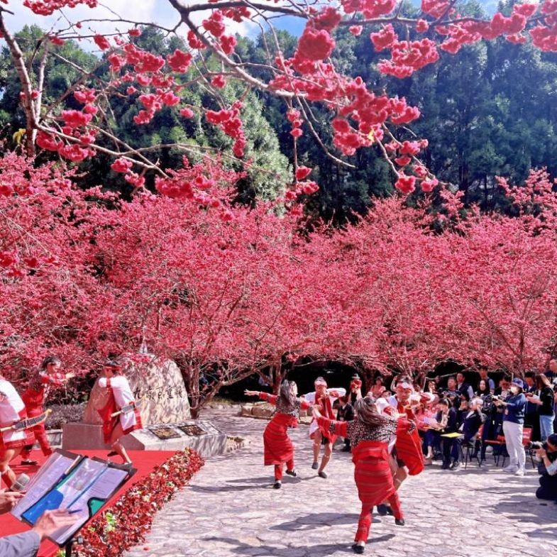 2026全台十大春節必逛景點：最美山林夜景「空山祭」倒數計時
