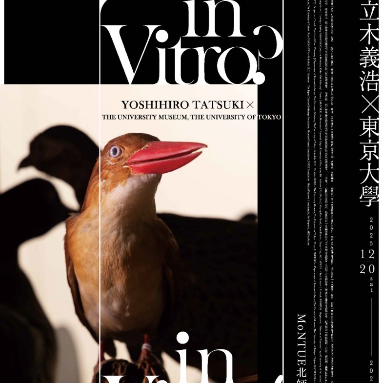 年底必看！北師美術館兩大攝影展：從傳奇雜誌《人間》到日本攝影師立木義浩