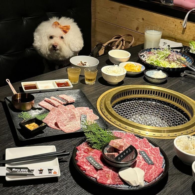 全台寵物友善燒烤推薦！盤點7間燒烤店，從日式炭火、韓式老字號到和牛鍋物，讓你與毛孩輕鬆共度用餐時光