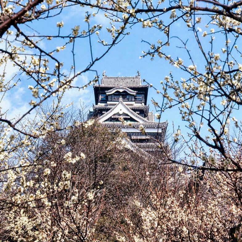 台南直飛沖繩、熊本！台灣「虎航」推出全新航線：價格、班次一次看