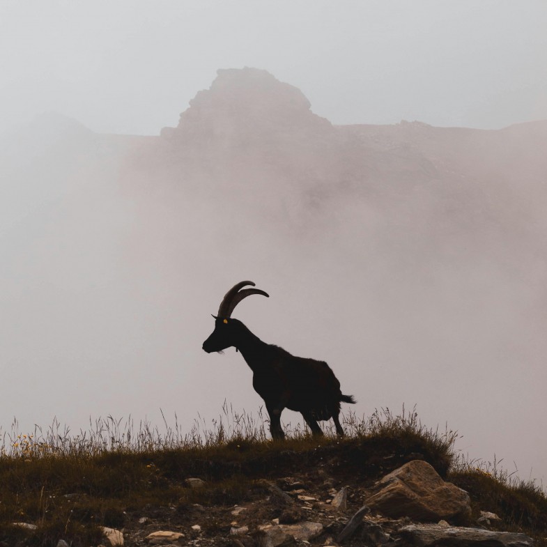 牡羊座招桃花寶石推薦這3種！男女戴法大不同，這樣戴增加好人緣