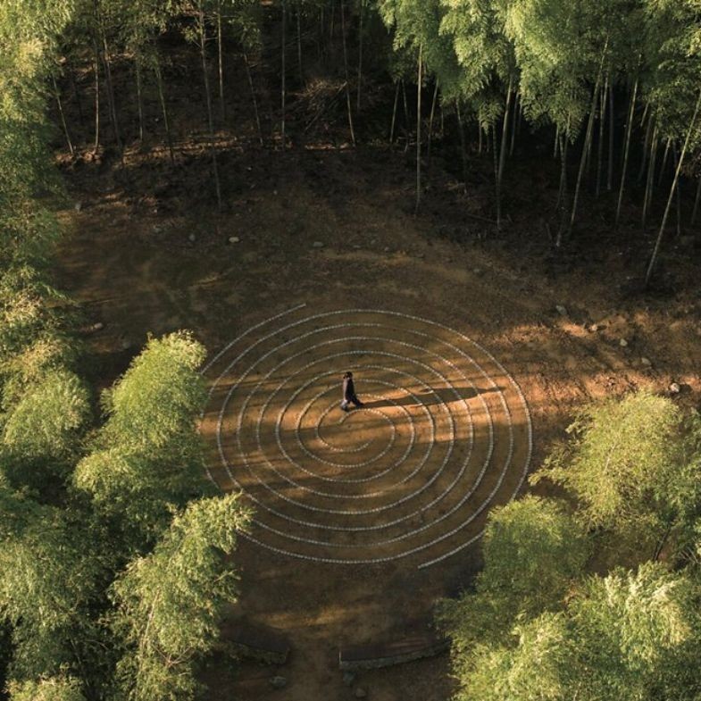 雲林「石壁休閒遊憩區」獲多項設計大獎！全台首座竹裝森林療癒地