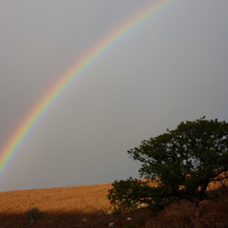 幸福感是可以培養的！從這4個生活習慣開始，讓你越活越開心