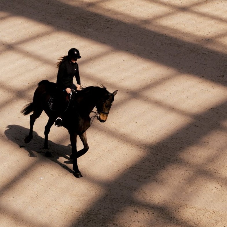 愛馬仕2025第三季財報：增長近10%，男裝新創意總監上任｜時髦經濟