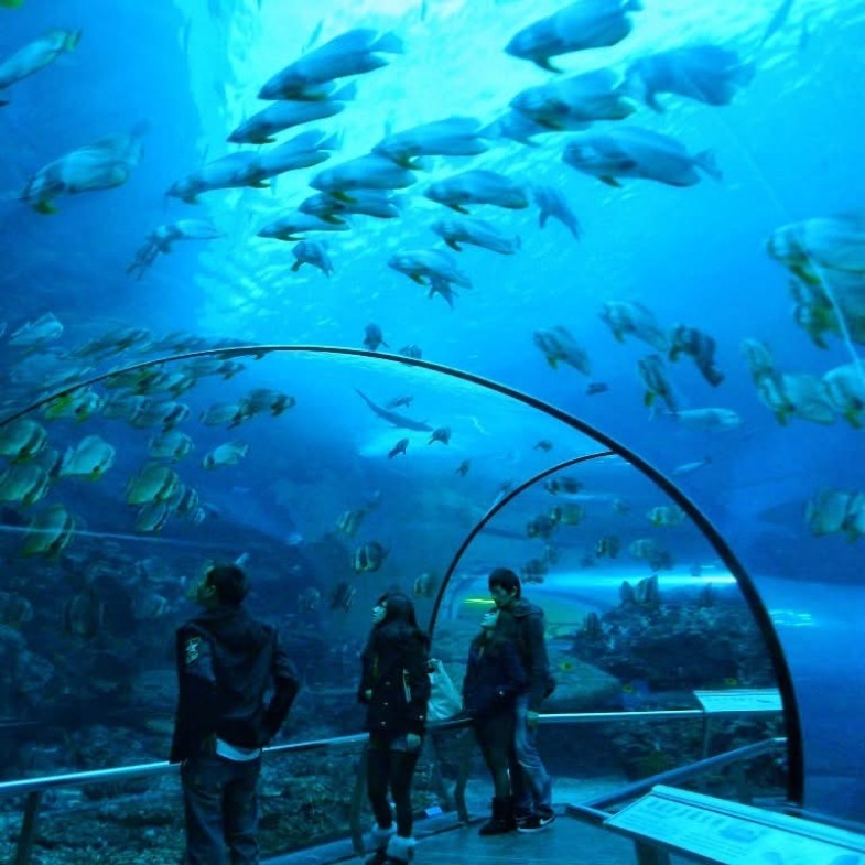 台中海洋館未開先轟動！全台7大海洋館園區特色、票價懶人包一次看
