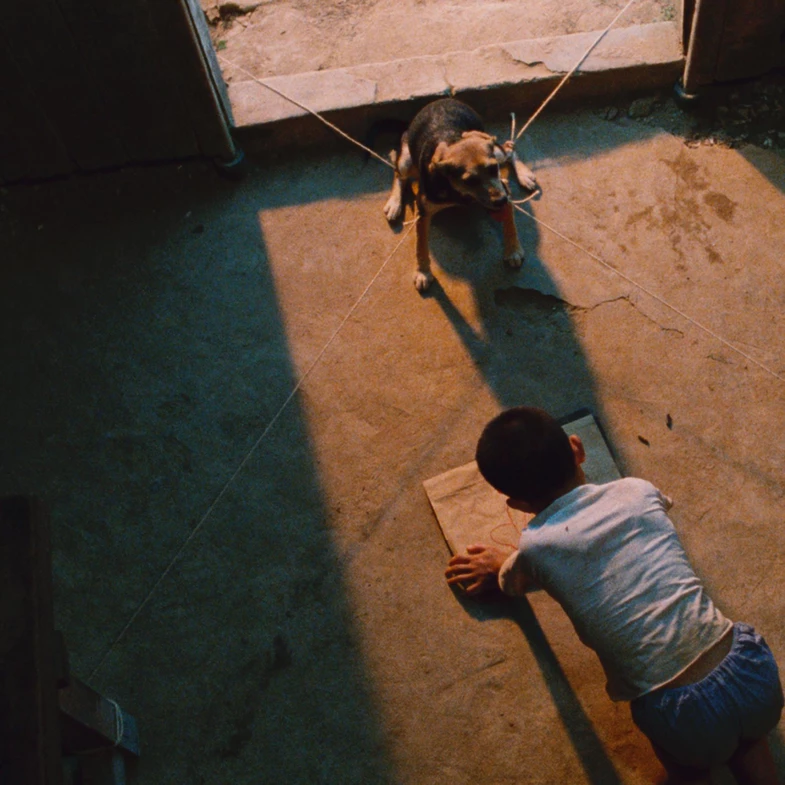 《魯冰花》 7/8 全台重映8大金句：有錢人的小孩，什麼都比較會